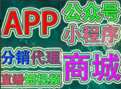 人工智能，数字人，微短剧，小程序，APP，公众号，抖音，商城