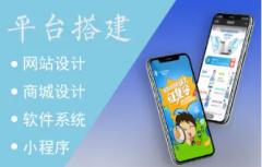深圳网站搭建、企业官网开发、网页UI设计、产品展示站、APP