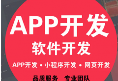 网站建设、小程序、软件APP开发、AI人工智能、物联网开发、