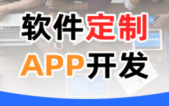 app开发|定制网站|软件定制|网站建设，软件开发，APP开